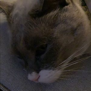 Meet your Posher, Marie-michele